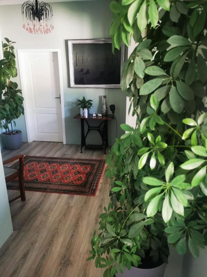 Sombor 19 Central Apartment ภายนอก รูปภาพ
