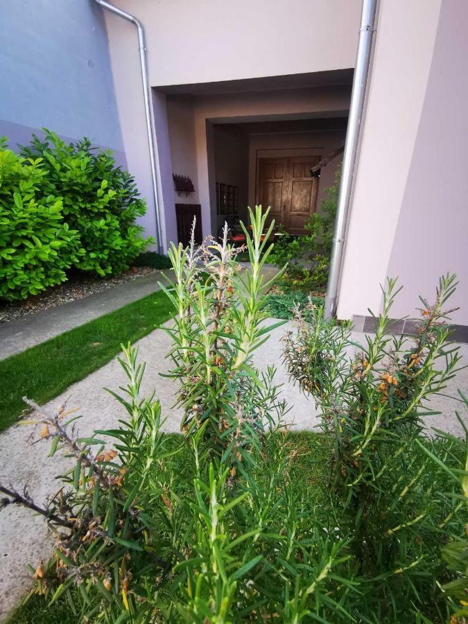 Sombor 19 Central Apartment ภายนอก รูปภาพ